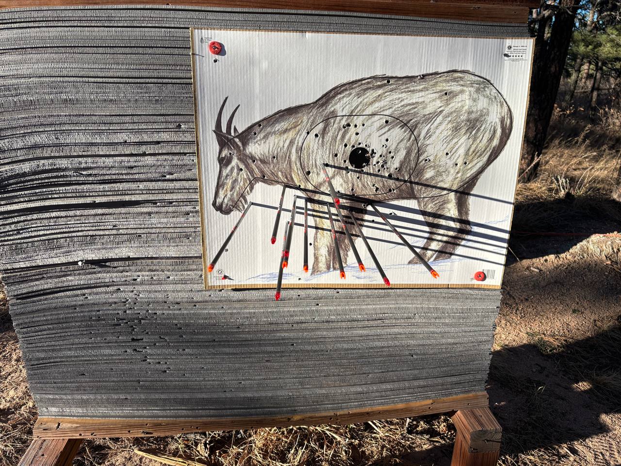 Bare shaft arrows spread across a 3D target at 40 yards showing group and outliers
