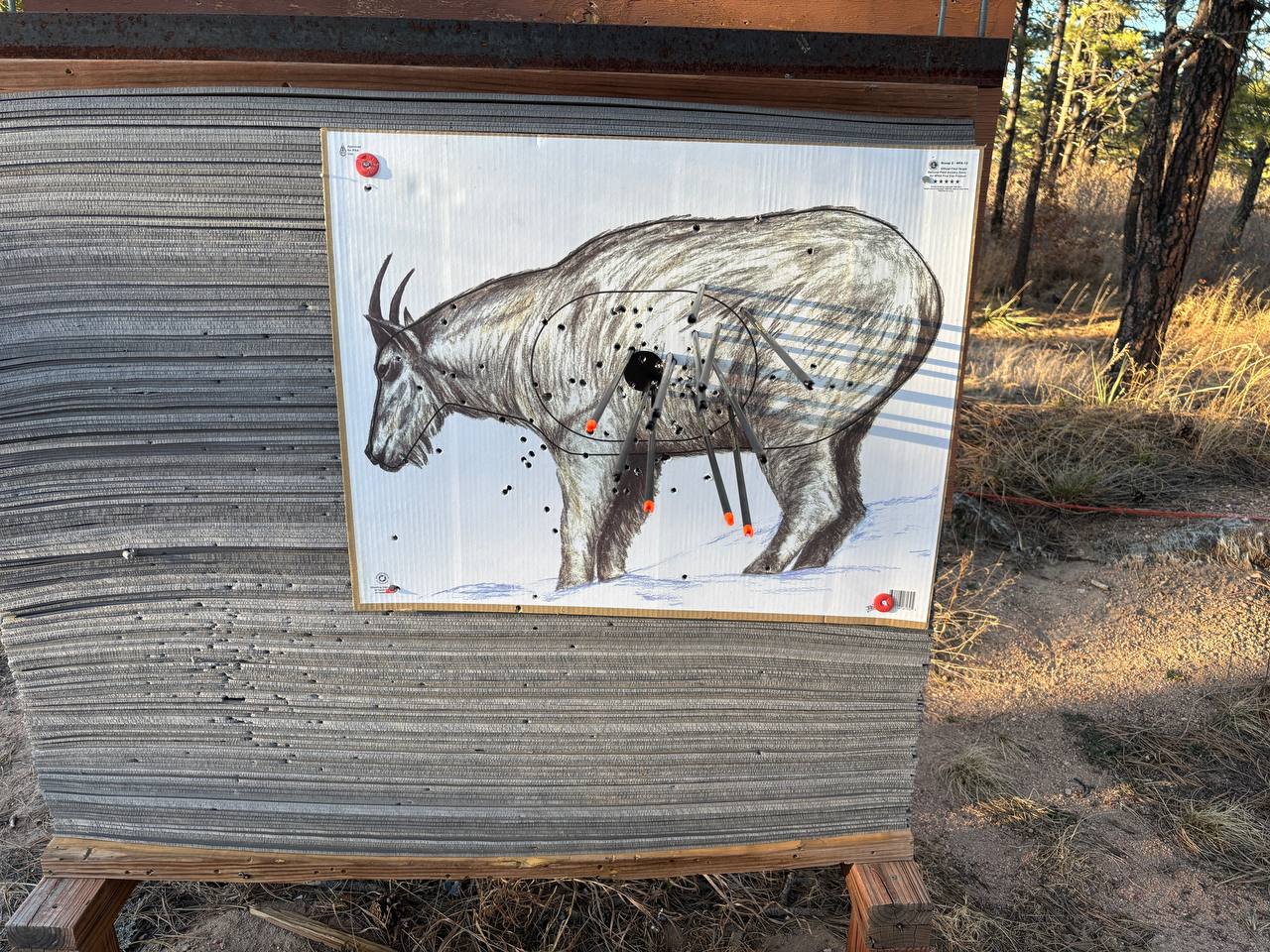 Bare shaft arrows grouped in a 3D target at 40 yards during arrow selection