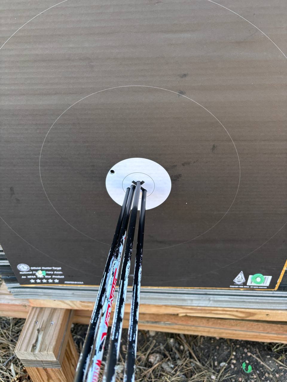 Four arrows grouped tightly in the center of a hunter target