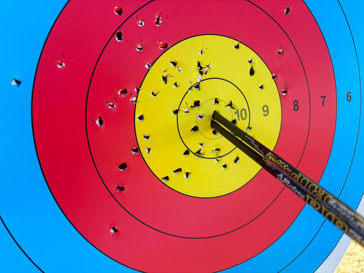 Practice target with scattered arrow holes showing group dispersion